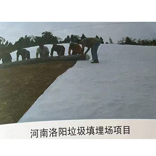 河南洛陽垃圾填埋場項(xiàng)目